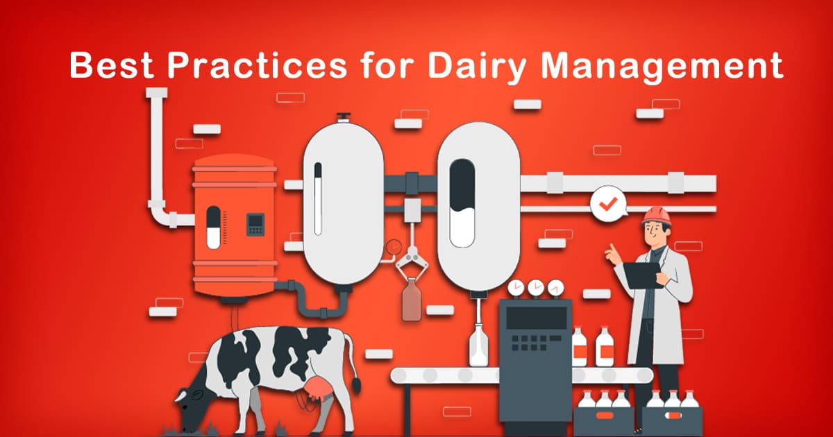 Dairy Management